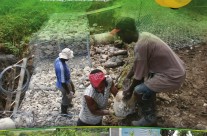 EFJ 2011-2012 Annual Report